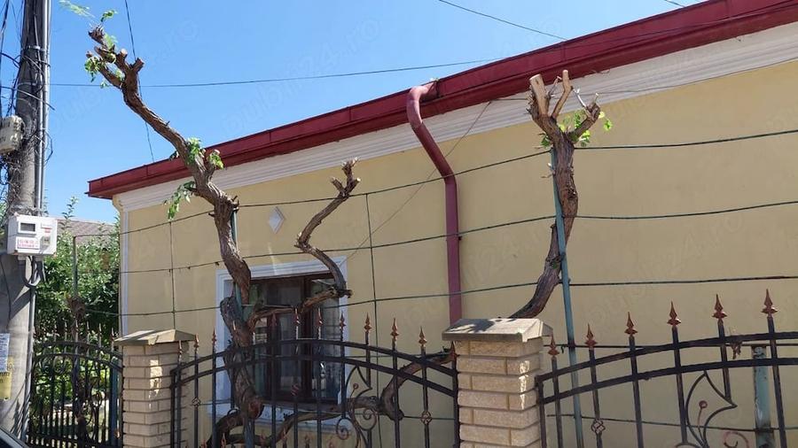 Casă cu Teren 240 Mp în Central