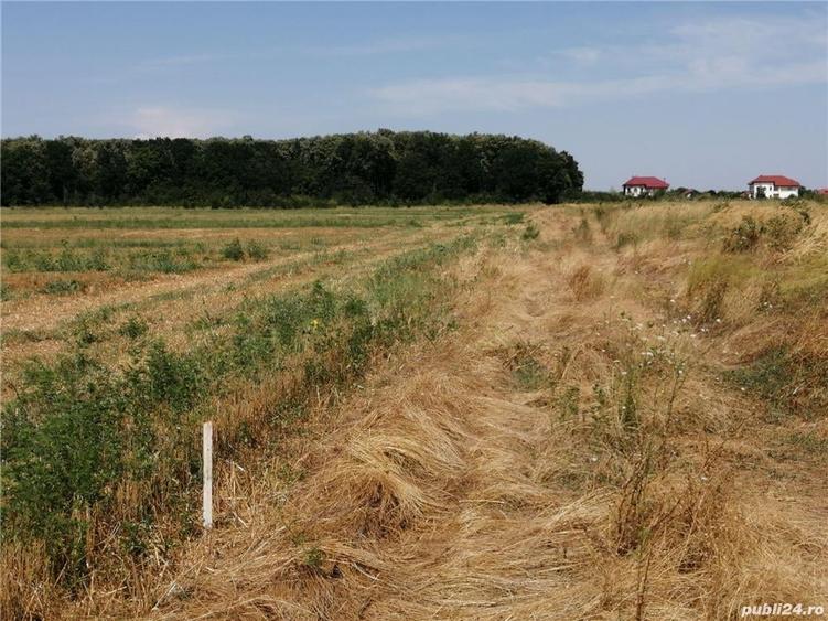 Teren de 2500 mp, în Cosoba