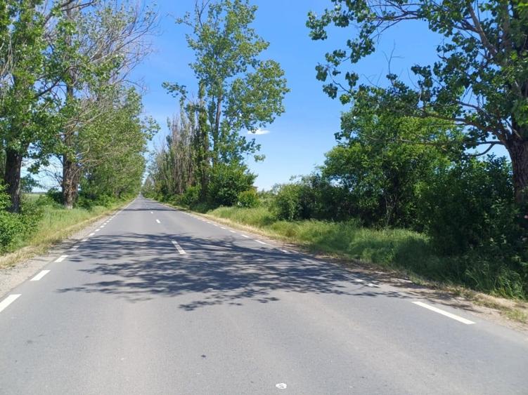 Teren de vanzare in Gruiu, Sili?tea Snagovului, 5000mp - 1