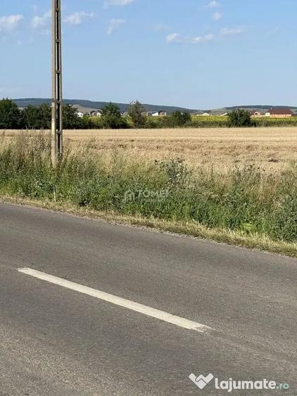 Terenuri pe ?oseaua Bra?ovului in Bod spre Sanpetru - 16