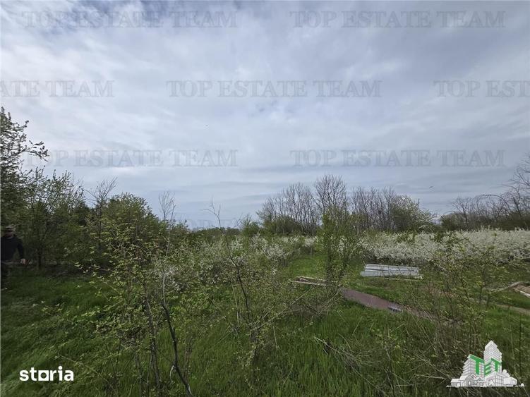 Teren de 2325 mp, în Joița