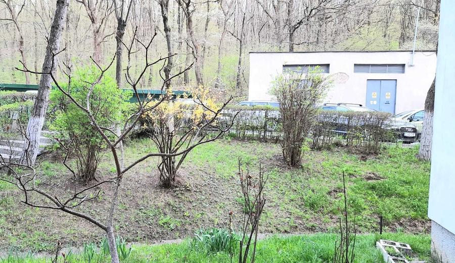 Apartament cu 2 camere în Mănăștur