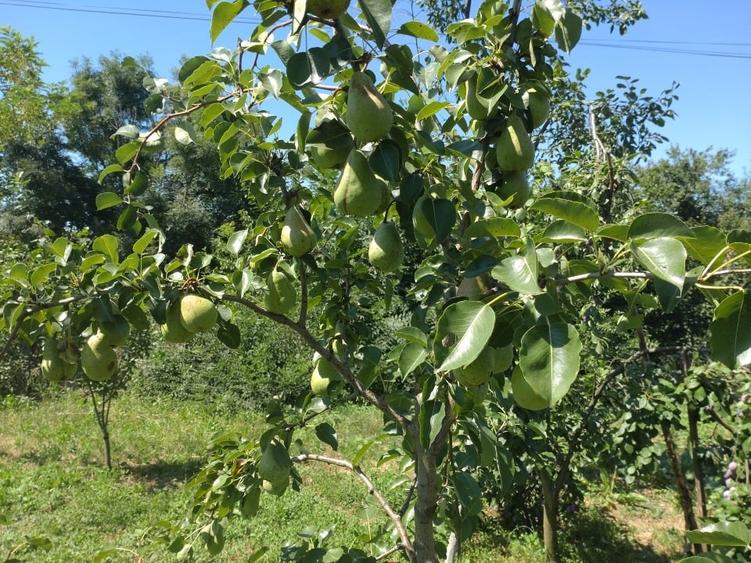 Casă individuală cu 2 camere cu Canalizare în Corbii Mari
