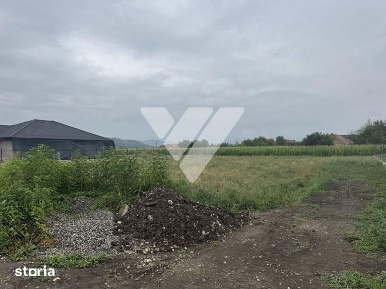 Teren 845 mp, front 16 m, utilitati si autorizatie construire - Vestem - 3