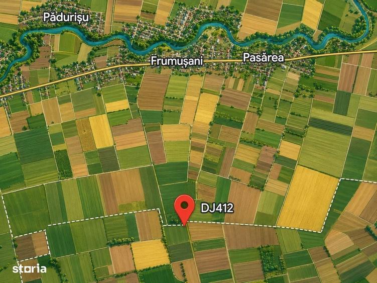 Spațiu comercial, în Pasărea