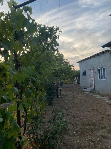 Casă cu 5 camere cu Teren 936 Mp în Robănești