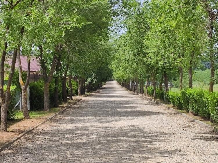 Teren Construcții intravilan de 500 mp, în Afumați