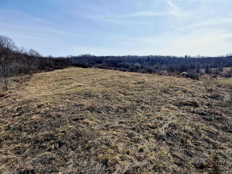 Teren agricol extravilan de 10000 mp, în Tomești