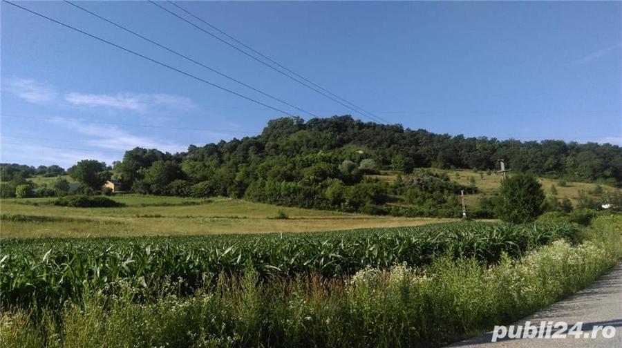 Teren de 20000 mp, în Sighișoara