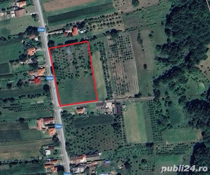 Teren de 6937 mp, în Sălătrucu