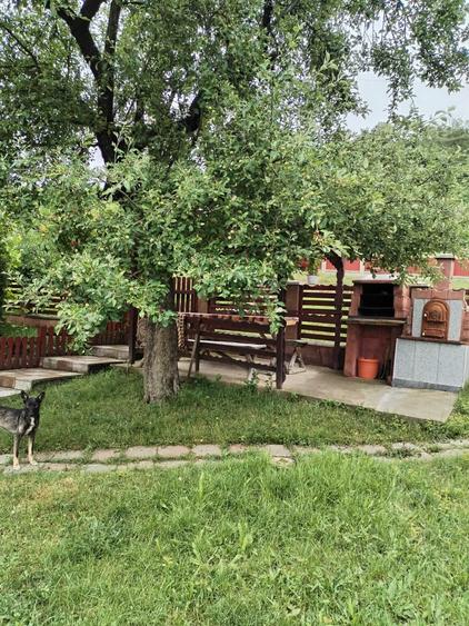 Casă cu 3 camere în Lechincioara