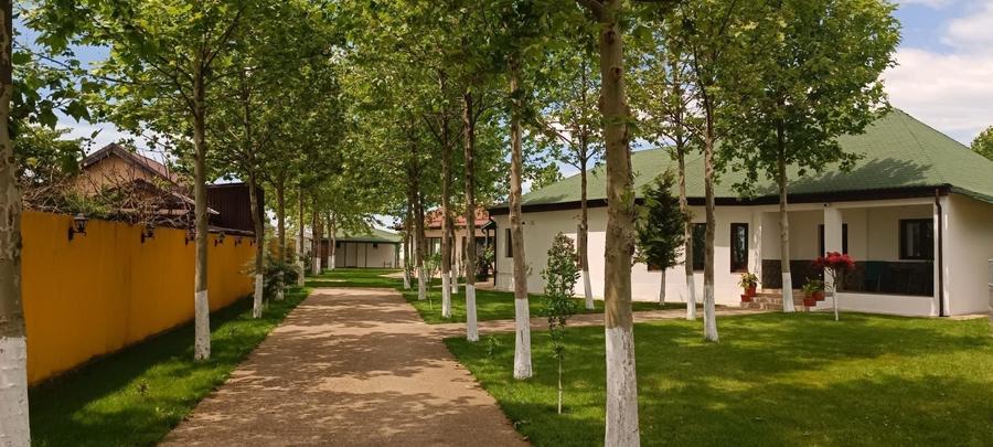 Casă cu 4 camere cu Teren 1325 Mp în Belciugatele