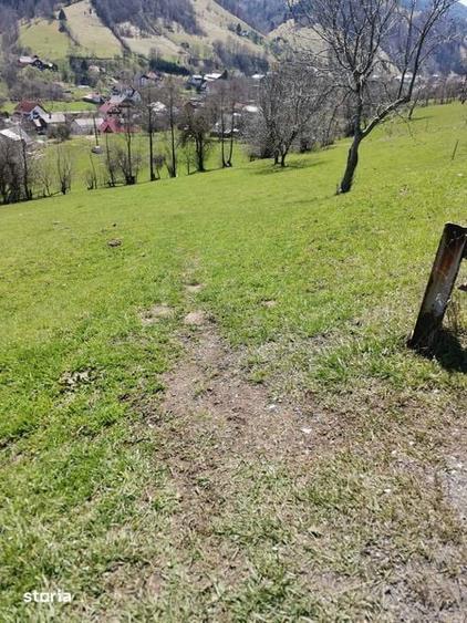 Teren de 10050 mp, în Moieciu