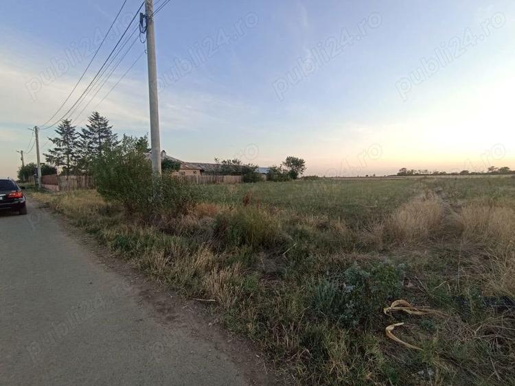 Teren de 2500 mp, în Copaciu