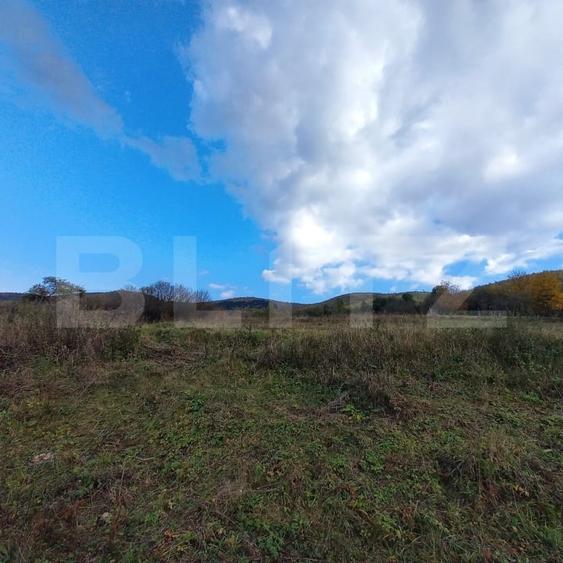 Teren Construcții intravilan de 1500 mp, în Ciurila