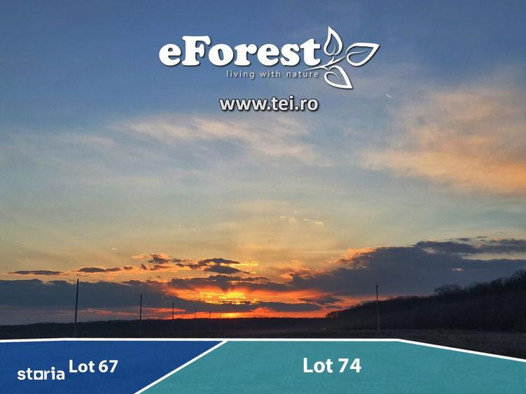 Teren de 760 mp, în Crevedia