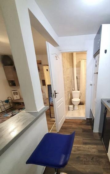 Apartament Pet Friendly Balcescu Central Elisabetin Complex Studentesc Politehnica UVT Medicina 2 Liceul Moisil Piata Maria Victoriei Judetean - 6