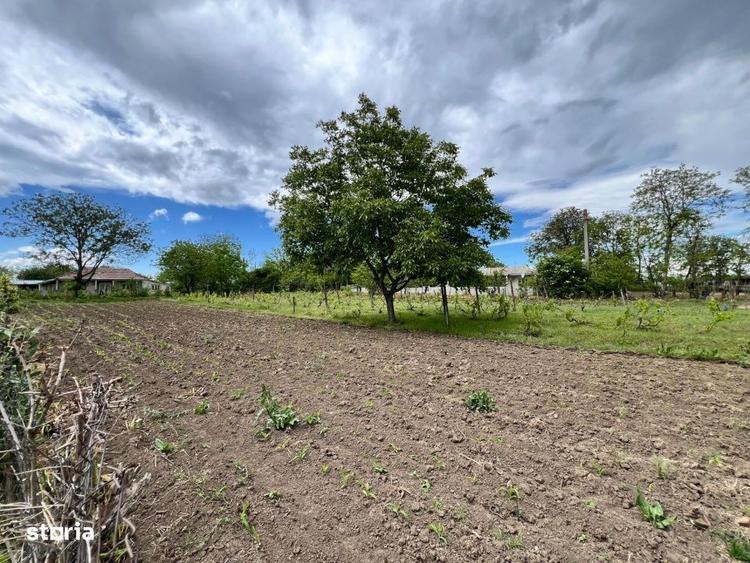 Casă cu 4 camere cu Teren 4430 Mp în Tecucelu Sec