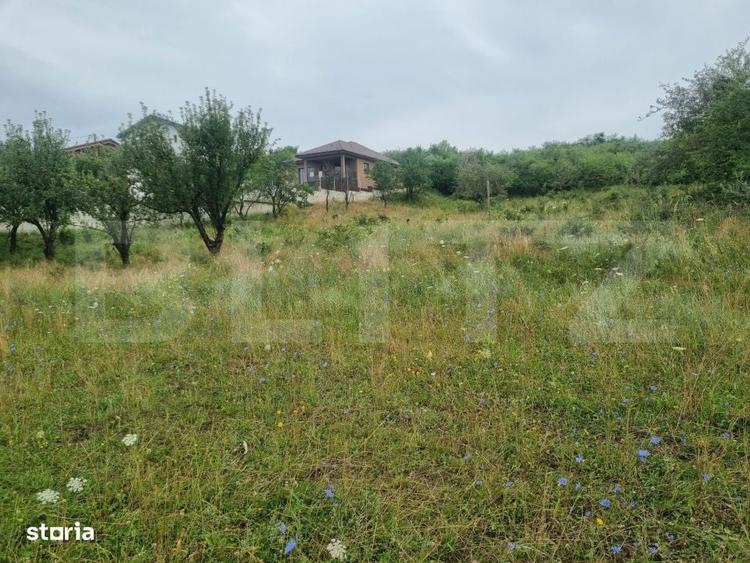 Teren 700 mp cu priveliste spre oras, disponibil si parcelat, Bistrita - 4