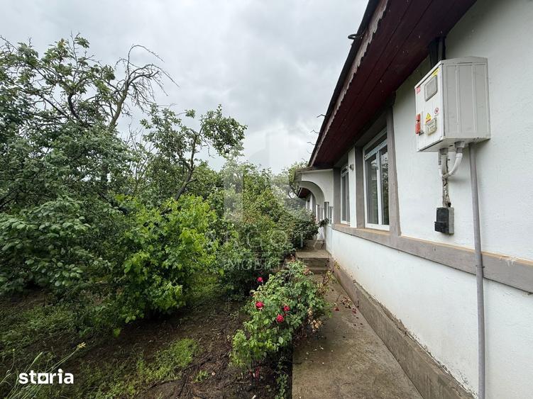 Casă cu 4 camere cu Teren 4075 Mp în Cotu Ciorii