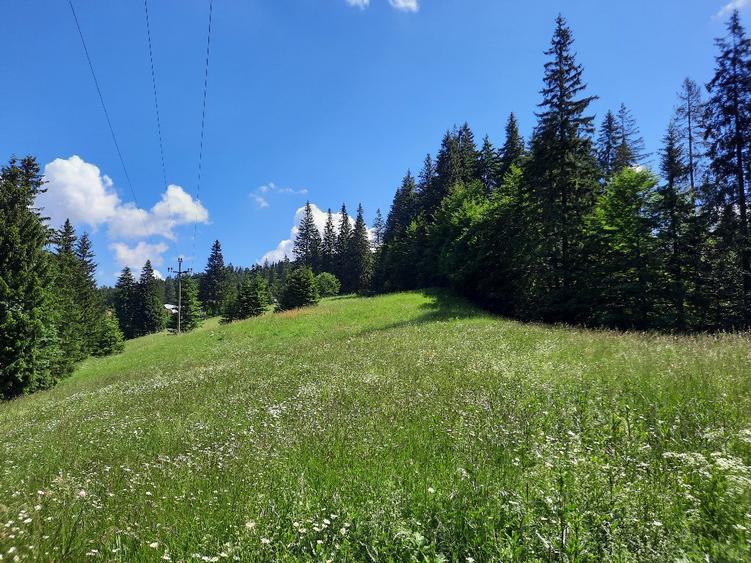 Teren de 3836 mp, în Malul Ursului