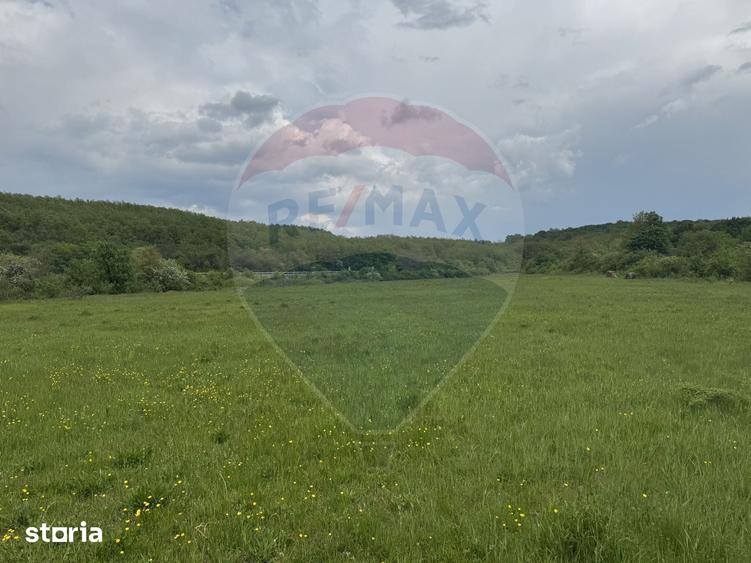 Casă cu 4 camere cu Teren 57600 Mp în Zimbor