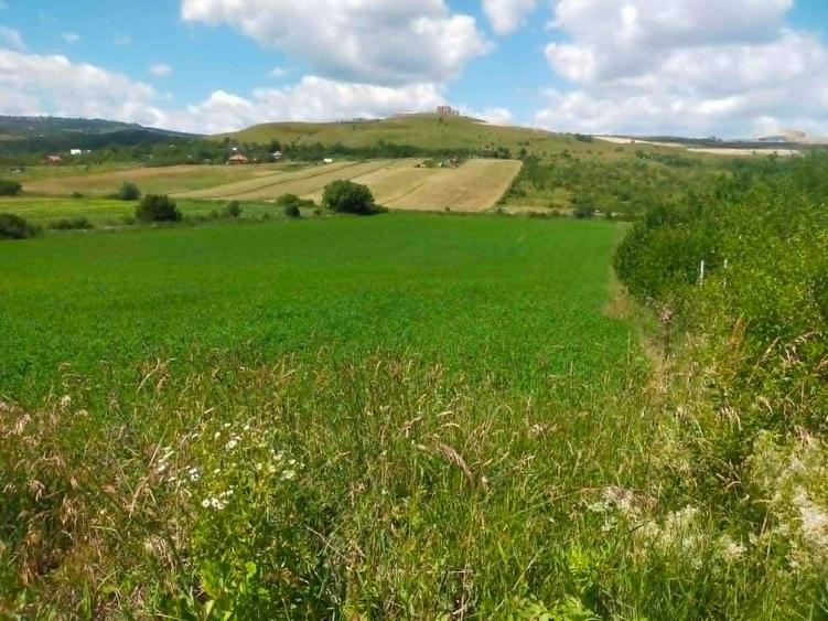 Teren de 5515 mp, în Dezmir