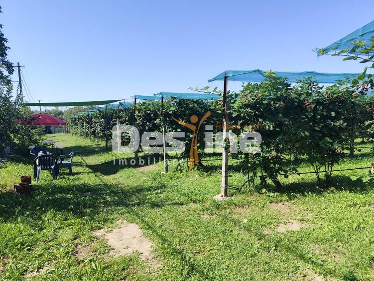Proprietate specială, de 30 mp, în Nord