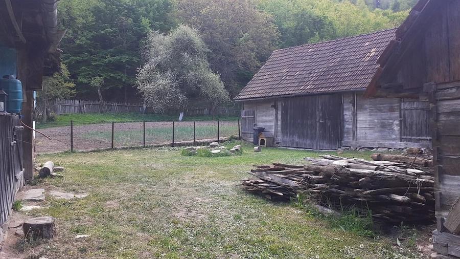 Casa traditionala+teren 640 mp de vanzare la munte, in localitatea Tarcaita, langa Beius - 3