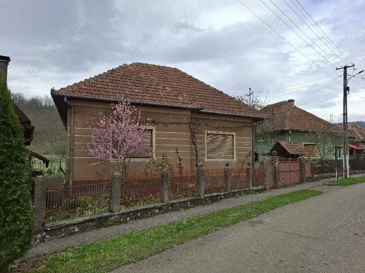 Casă cu 3 camere cu Teren 1677 Mp în Pleșcuța