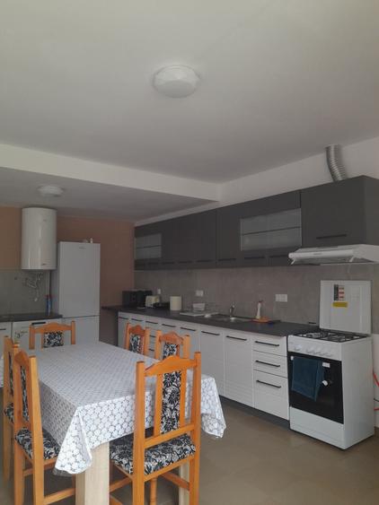 Casă cu 4 camere cu Teren 5000 Mp în Arpașu de Sus