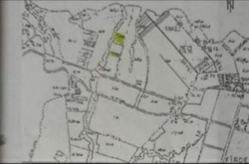 Teren de 11600 mp, în Fârdea