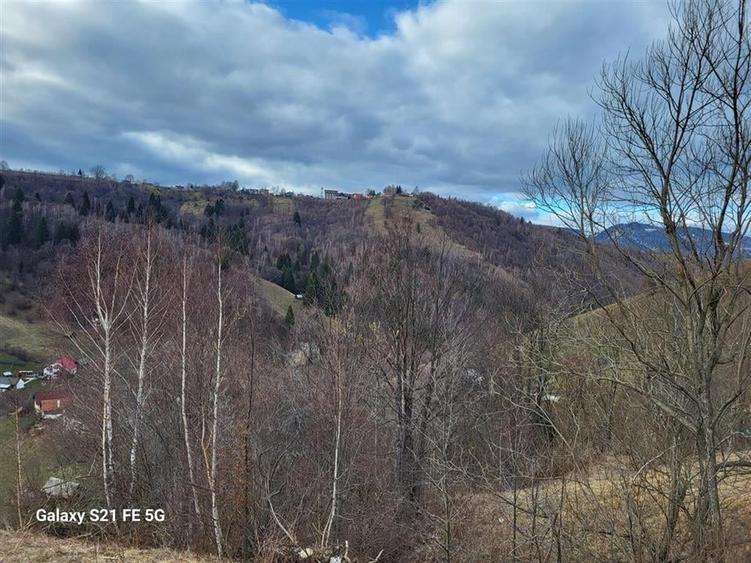 Teren Construcții intravilan de 8800 mp, în Cheia