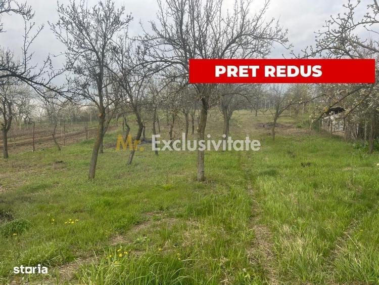 Spațiu comercial, în Vrănești