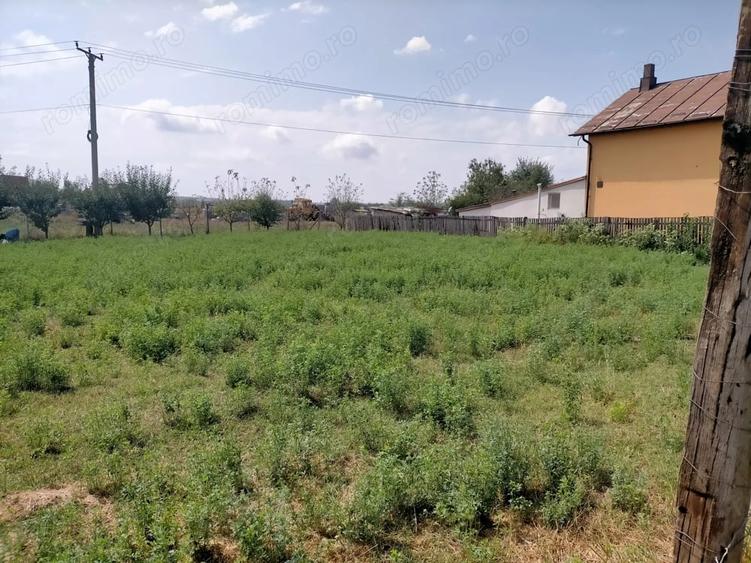 Teren de 800 mp, în Rovine