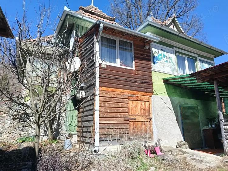 Casă cu 3 camere în Muntele Băișorii