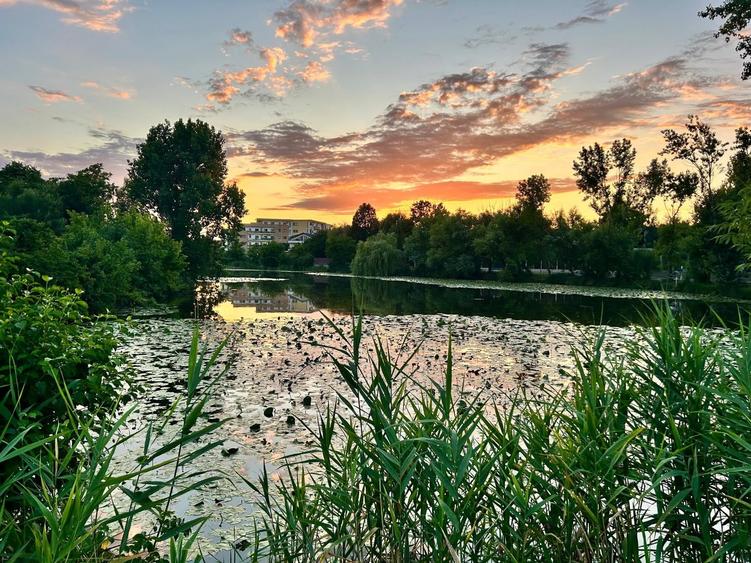 Casă individuală cu 5 camere cu Canalizare în Chitila