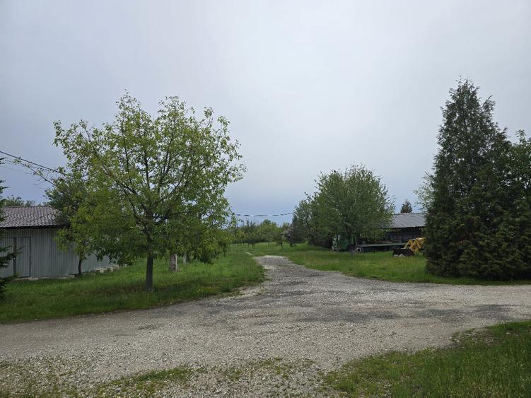 Teren de 38464 mp, în Beharca