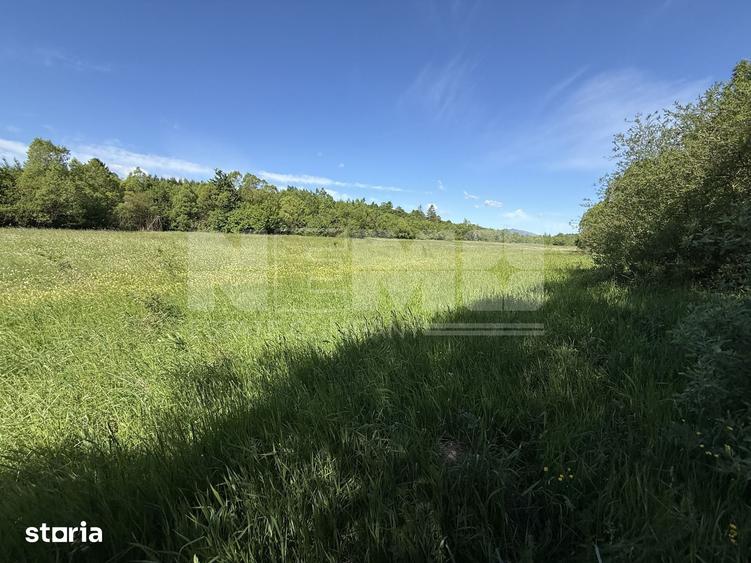 Teren de 2300 mp, în Horodnic