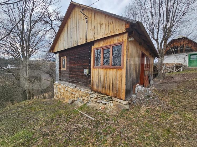 Teren Construcții intravilan de 22267 mp, în Scărișoara