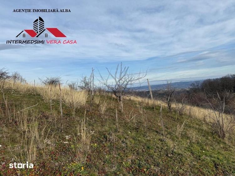 Teren de 8010 mp, în Vințu de Jos