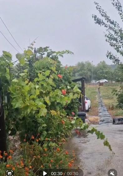 Teren de 3663 mp, în Mahmudia