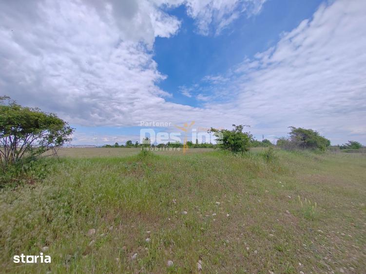 Teren de 114000 mp, în Ariceștii Rahtivani