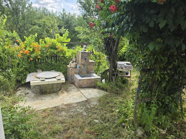 Casă cu 3 camere cu Teren 2896 Mp în Valea Brazilor