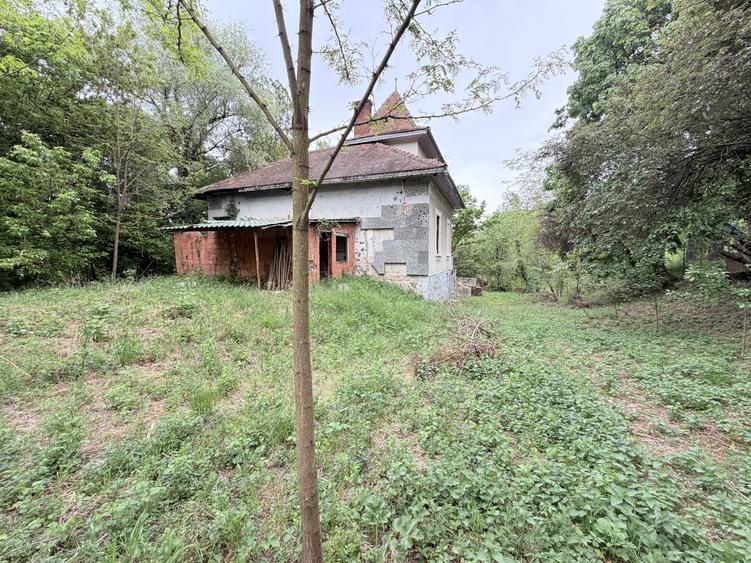 Casă individuală cu 6 camere cu Teren 10000 Mp în Caransebeș