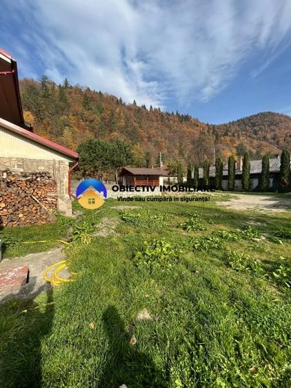 Casă cu 6 camere cu Teren 878 Mp în Tarcău