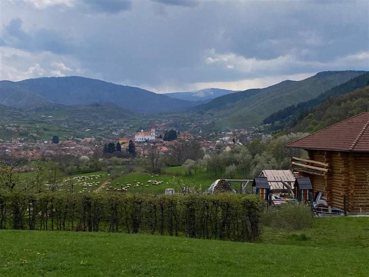 Teren agricol extravilan de 2455 mp, în Rășinari
