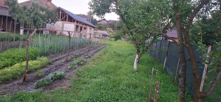Casă cu 4 camere în Stâlpeni