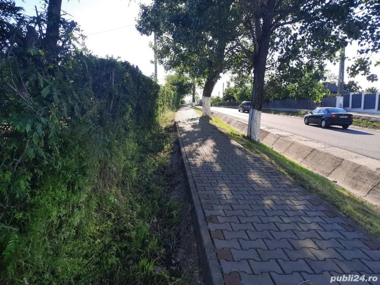 Teren de 10000 mp, în Central
