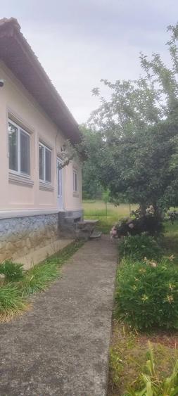 Teren de 6800 mp, în Polovragi